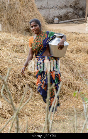 Un Tamoul tribal femme portant un sari marche à travers un holding de basse-cour une marmite au Tamil Nadu, Inde du Sud, en Asie du Sud Banque D'Images