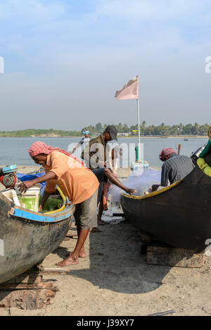 Les pêcheurs Keralan contrôler leurs filets sur la rive à Kochi (Cochin), Kerala, Inde du Sud, en Asie du Sud Banque D'Images