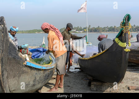 Les pêcheurs Keralan contrôler leurs filets sur la rive à Kochi (Cochin), Kerala, Inde du Sud, en Asie du Sud Banque D'Images