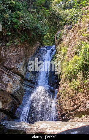 Une cascade en forêt nationale de El Yunque, Puerto Rico Banque D'Images