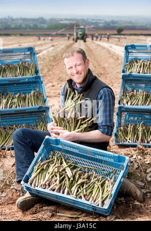 Chris Farmer asperges Chinn de Cobrey ferme près de Ross-on-Wye avec certains de sa récolte qui est arrivé au début de unseasonaly Banque D'Images