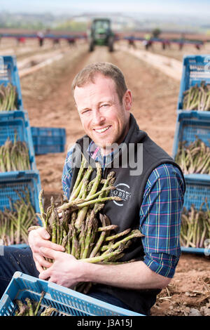 Chris Farmer asperges Chinn de Cobrey ferme près de Ross-on-Wye avec certains de sa récolte qui est arrivé au début de unseasonaly Banque D'Images