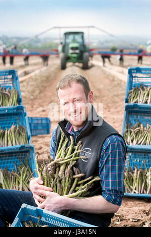 Chris Farmer asperges Chinn de Cobrey ferme près de Ross-on-Wye avec certains de sa récolte qui est arrivé au début de unseasonaly Banque D'Images