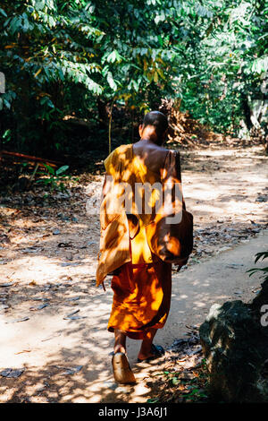 KRABI, THAÏLANDE - 10 avril : Le moine bouddhiste marcher dans la forêt tropicale le 10 avril 2016 à Krabi, Thaïlande. Banque D'Images