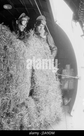 '''Hay airlift'' pour des animaux sauvages en voie de disparition dans les montagnes de Bavière, 1952' Banque D'Images