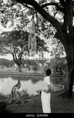 Roi de Thaïlande Bhumibol Adulyadej avec son épouse SIRIKIT au palais royal Banque D'Images