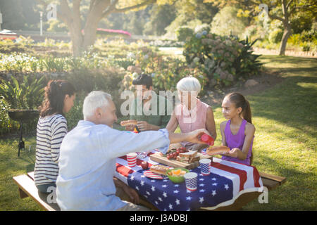 Ayant de la famille dans le parc de repas sur une journée ensoleillée Banque D'Images