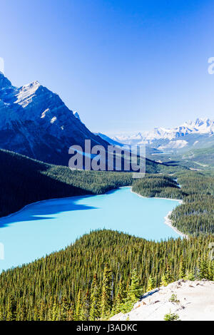 Le glacier Peyto Lake est un lac situé dans le parc national de Banff dans les Rocheuses canadiennes. Le lac lui-même est facilement accessible depuis la promenade des Glaciers Banque D'Images