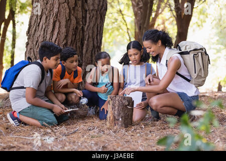 Heureux les élèves et le professeur examinig souche d'arbre dans la forêt Banque D'Images