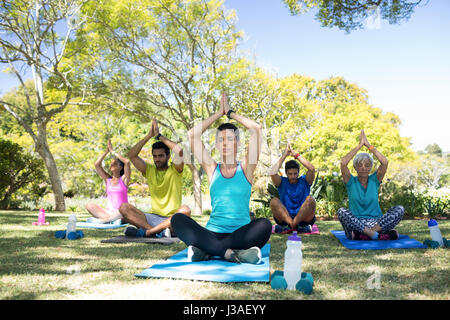 Groupe de personnes effectuant le yoga dans le parc par une journée ensoleillée Banque D'Images
