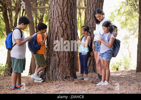 Les étudiants l'examen de tronc d'arbre avec l'enseignant en forêt pendant le voyage Banque D'Images