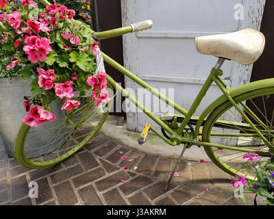 Bicyclette verte rétro avec ivy géraniums dans panier Banque D'Images