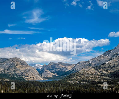 Lac Tenaya, Yosemite National Park, Californie Banque D'Images