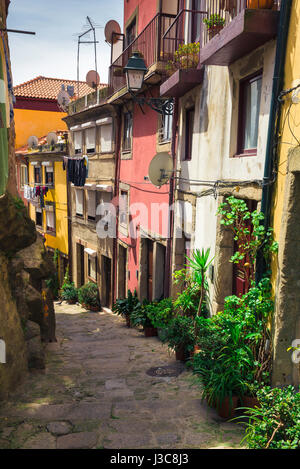 La vieille ville de Porto Portugal, vue sur un quartier de la vieille ville derrière le quartier de Ribeira dans le centre de Porto, Portugal. Banque D'Images