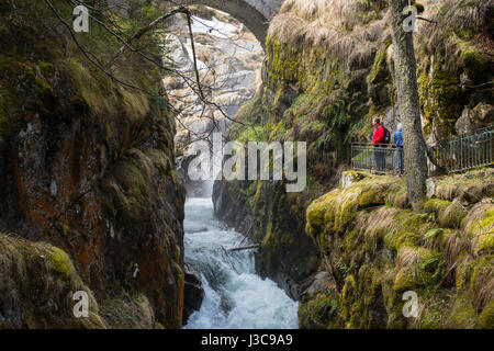 France, Hautes Pyrénées, Cauterets, le Pont d'Espagne, Cascade, Parc National des Pyrénées (Parc National des Pyrénées) Banque D'Images