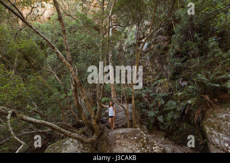 Lonely female hiker debout sur le rocher dans la forêt Banque D'Images