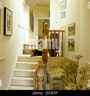 Chien couché sur l'atterrissage d'escalier. Banque D'Images