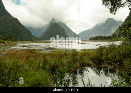 Le fjord de Milford Sound dans un jour nuageux (île du Sud, Nouvelle-Zélande) Banque D'Images