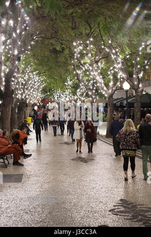 Carnaval, lumières sur les arbres le long de l'Avenida Arriaga, Funchal, Madère Banque D'Images