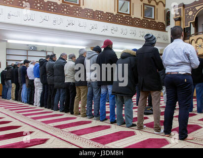 La prière du vendredi dans la mosquée de Berlin Banque D'Images