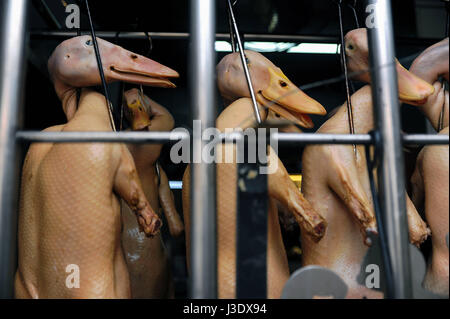 Singapour, République de Singapour, en Asie, les canards abattus dans une cuisine de restaurant Banque D'Images