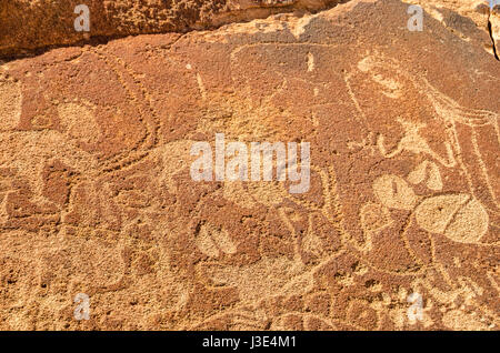 Fragment de gravures rupestres de Twyfelfontein en Namibie approuvé comme premier site du patrimoine mondial de l'Unesco dans la région de Kunene au nord-ouest de la Namibie. T Banque D'Images