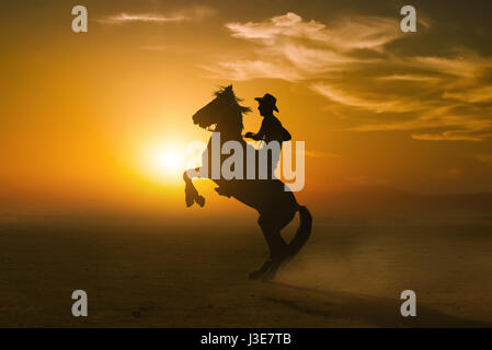 Silhouette à cheval sur fond coucher de soleil Banque D'Images