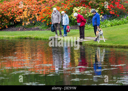 Les visiteurs qui cherchent dans l'étang dans les jardins, des rhododendrons et azalées à Exbury Gardens, parc national New Forest, Hampshire en mai Printemps Banque D'Images