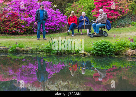 Les visiteurs s'assit sur un banc en admirant les jardins de l'étang, des rhododendrons et azalées à Exbury Gardens, parc national New Forest, Hampshire en mai Banque D'Images