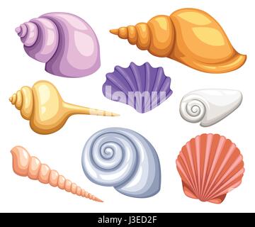 L'icône sous l'obus tropicaux colorés fixer cadre de coquillages, vector illustration.concept d'été avec des coquillages et des étoiles de mer. Composition ronde, sta Illustration de Vecteur