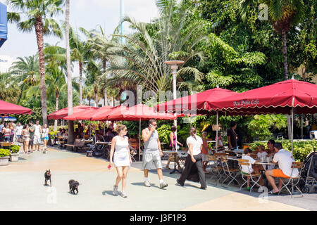 Miami Beach Florida, Lincoln Road Mall, galerie marchande, adultes homme hommes, femme femme femme femme dame, chiens, animaux de compagnie, marche, téléphone intelligent cellulaire mobile Banque D'Images