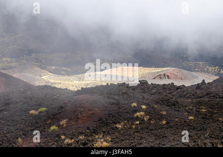 Flanc sud de l'Etna, un stratovolcan actif sur la côte est de la Sicile, Italie, montrant les coulées de lave de l'éruption et la nouvelle végétation sur le l Banque D'Images