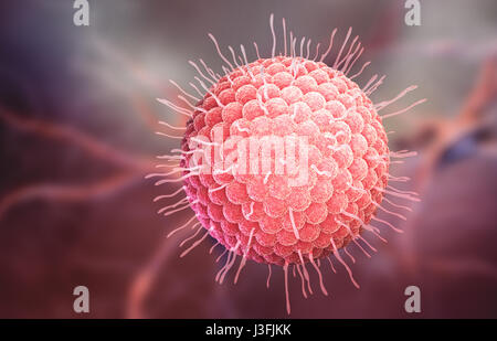 Virus varicelle-zona ou le virus varicelle-zona (VZV) est l'un des huit herpèsvirus connus pour infecter les humains et les vertébrés. 3D illustration Banque D'Images