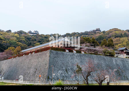 Le Japon, Ehime, Matsuyama Castle. Niomaru jardin historique. Soir Vue du palais tamonyagura, tourelle, et les murs. Château sur la colline au-dessus. Banque D'Images