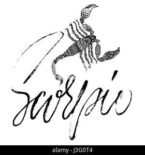 Signe du Zodiaque du Scorpion. Vector illustration d'astrologie. Sketch isolé sur fond blanc. Design lettrage manuscrit. Illustration de Vecteur