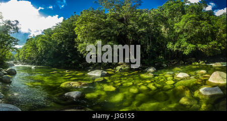 Mossman Gorge - River dans le parc national de Daintree, Queensland du nord, Australie Banque D'Images