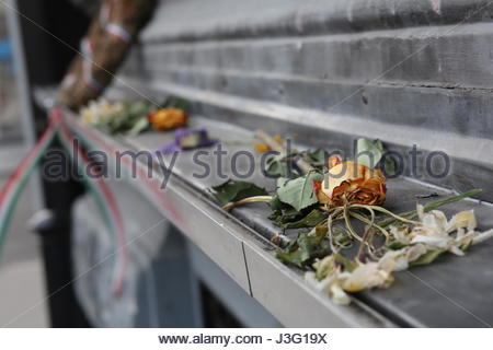 Withered rose jaune sur un mur de granit avec des couleurs hongroises en arrière-plan Banque D'Images