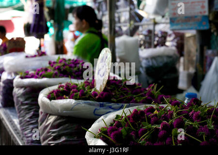 Les capitules en vente dans les sacs à un marché aux fleurs à Bangkok, Thaïlande Banque D'Images