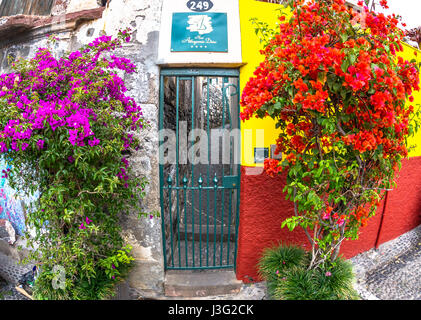 Les portes peintes sur la plus vieille rue de Funchal, Madère Banque D'Images