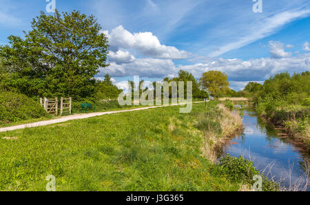 Une vue sur la campagne à Paddington Meadows à Warrington Banque D'Images