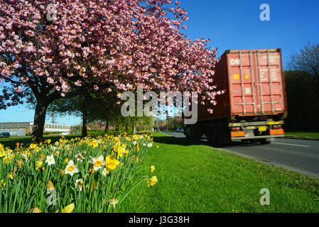 Camion passant les jonquilles et cerisiers yorkshire leeds united kingdom Banque D'Images