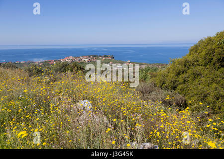 Port de agioa nicolas près de stoupa dans le Magne sur le Péloponnèse grec vu de Hill et à la recherche sur la mer et le ciel bleu au printemps avec beaucoup de fleurs Banque D'Images