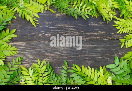 Fond vert printemps avec des feuilles fraîches Banque D'Images