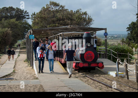 Train miniature de Pedras d'el Rei de la plage de Barril sur sur Ilha de Tavira. Algarve, Portugal. Banque D'Images