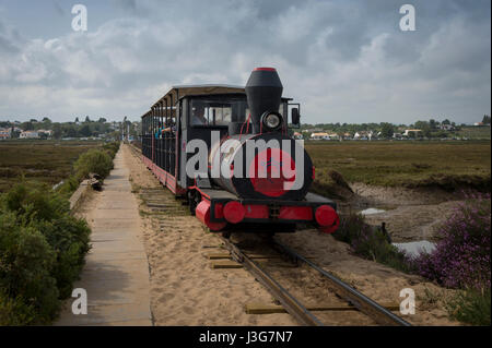 Train miniature de Pedras d'el Rei de la plage de Barril sur sur Ilha de Tavira. Algarve, Portugal. Banque D'Images