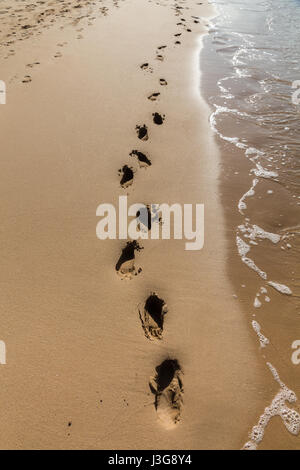 Des traces de pas dans le sable sur la plage, Portimao, Algarve, Portugal Banque D'Images