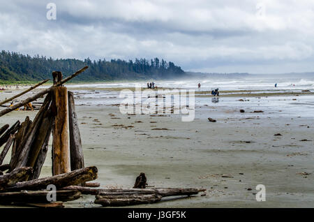 Tofino Paddle Surf Banque D'Images