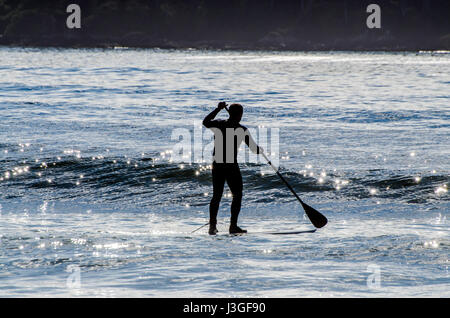 Tofino Paddle Surf Banque D'Images