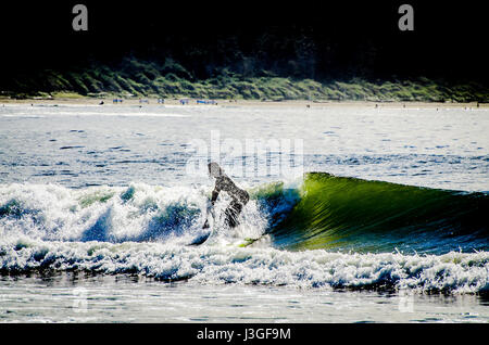 Tofino Paddle Surf Banque D'Images