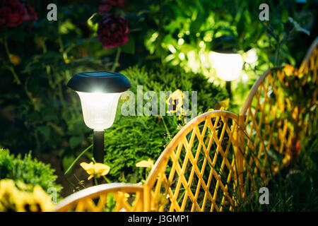 Petite décoration lumière solaire de jardin, lanternes en fleur lit dans le feuillage vert. La conception des jardins. Lampe à énergie solaire Banque D'Images